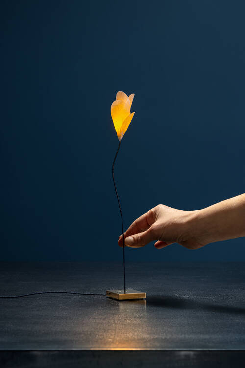 media/233cf6e7-0f85-4f5a-9119-354cf8180f68.jpg?w=1500