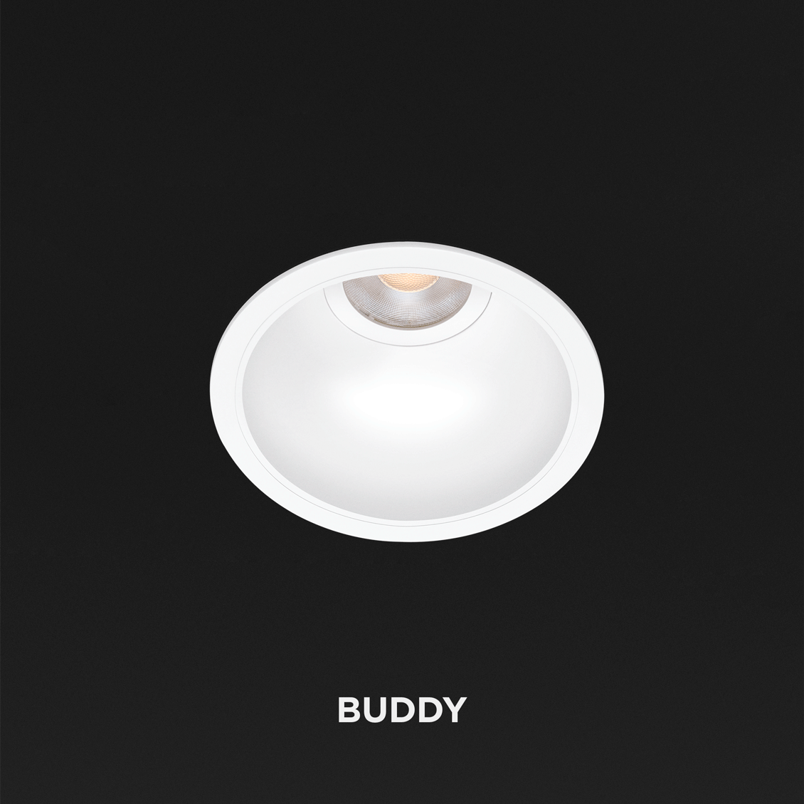 Buddy model