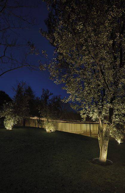LEDc4-Vercle bei Nacht Baum Spot Beleuchtung